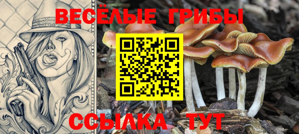 цена наркотик  Галлюциногенные грибы мухоморы  Галлюциногенные грибы Psilocybe  Вход с VPN  Горно-Алтайск 