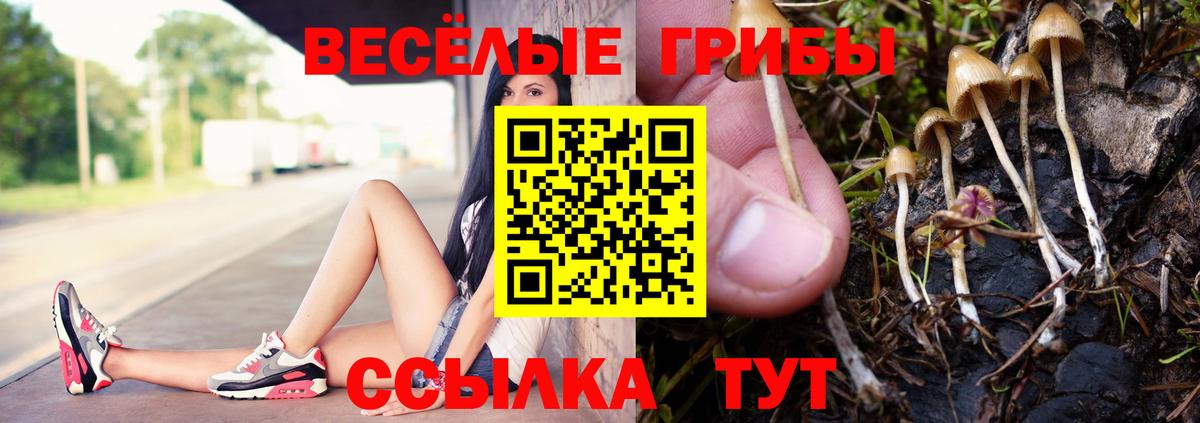Псилоцибиновые грибы прущие грибы Горно-Алтайск